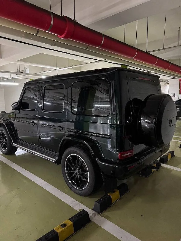Mercedes-Benz G450d, 2024 — фото 3